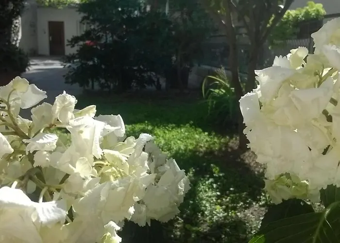 Apartman Renata