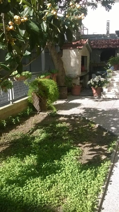 Renata Apartment Omis